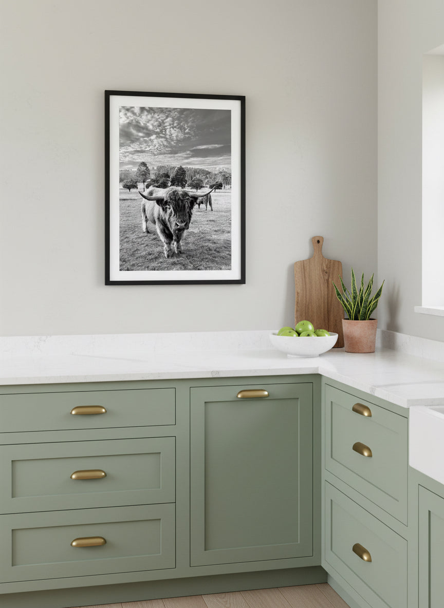 ‘The Highland Cow’ Print 20x16” - unframed